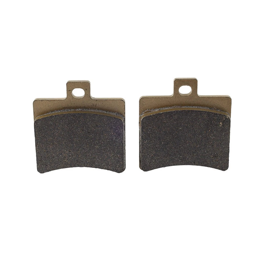 Rear Brake Pads for Aprilia RS 125 (2006–2014) - Radial Caliper, 2T Pair