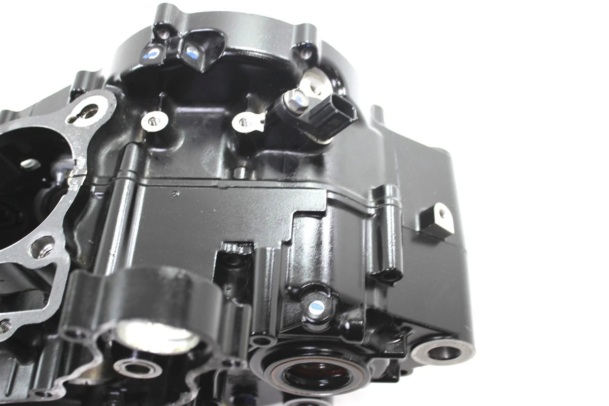 OEM Crank Cases for Kawasaki KLX230 SM (2023) 14101-0004