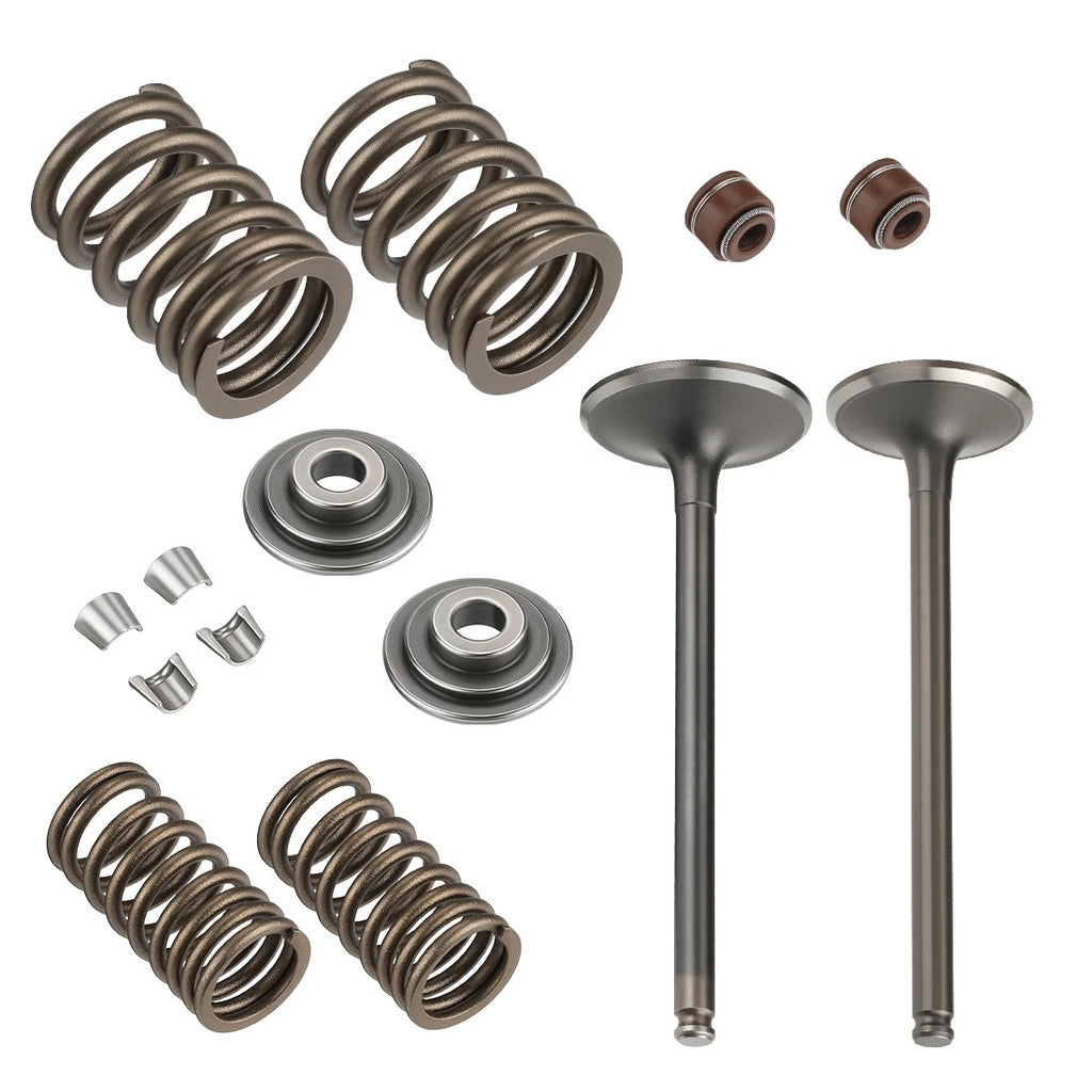 Intake Exhaust Valve Spring Kit for Honda FourTrax 300 TRX300 (1988–2000)