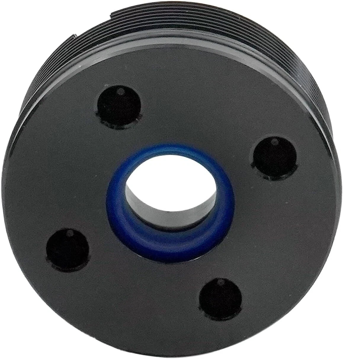 Trim Cylinder End Cap Assembly & Seal for