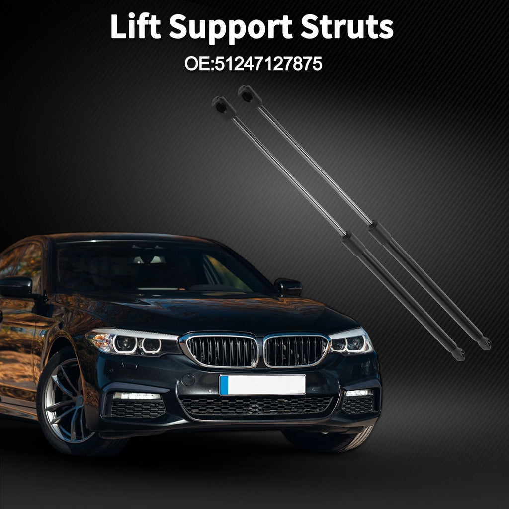 Tailgate Lift Supports Struts for BMW 3 Series E91 Touring (2006–2011)