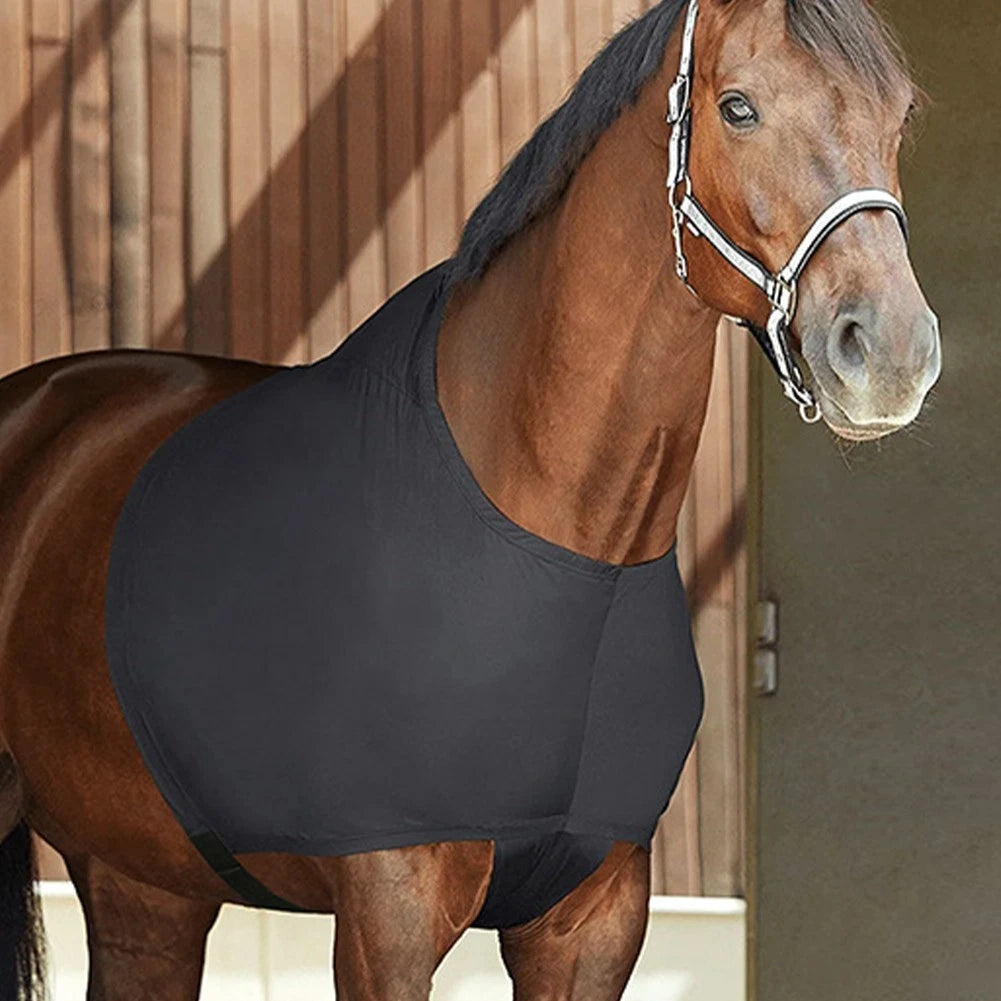 Horse Chest and Shoulder Protector for Horse (Soft Spandex Material)