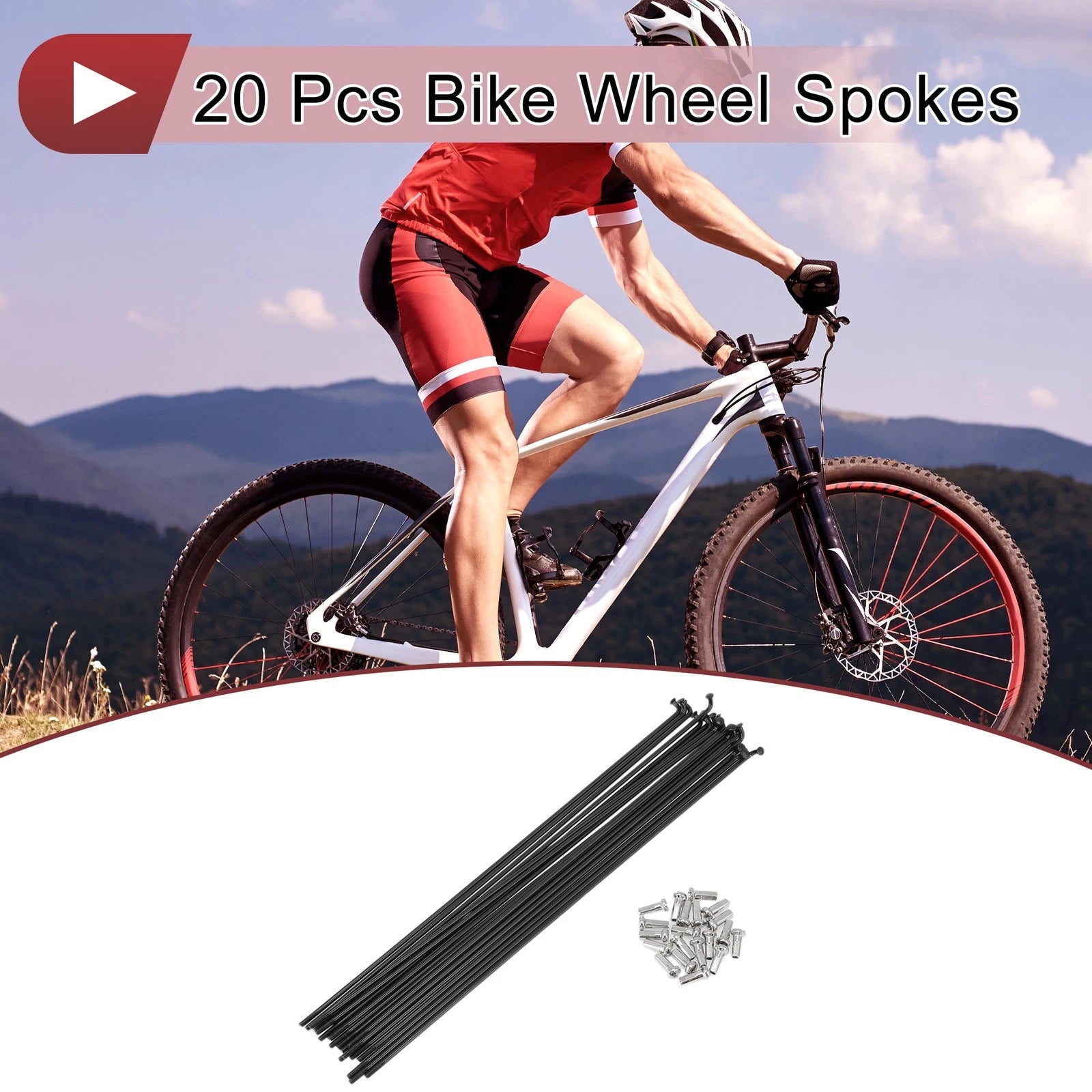 Bicycle Spokes 216mm Replacement Set for 13G Wheel (304 Stainless) (20)