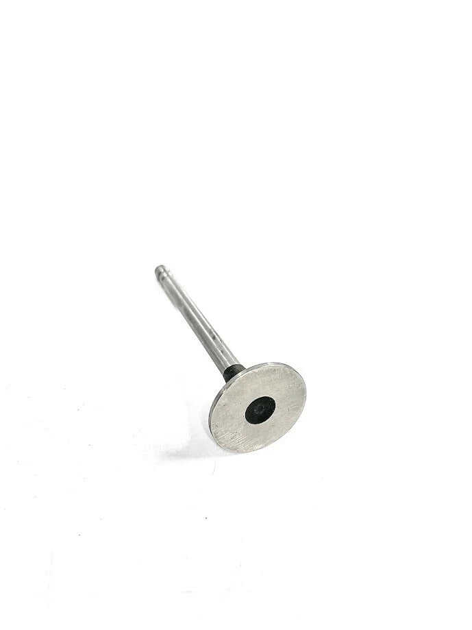 Exhaust Valve for TRW S2090 (OEM)