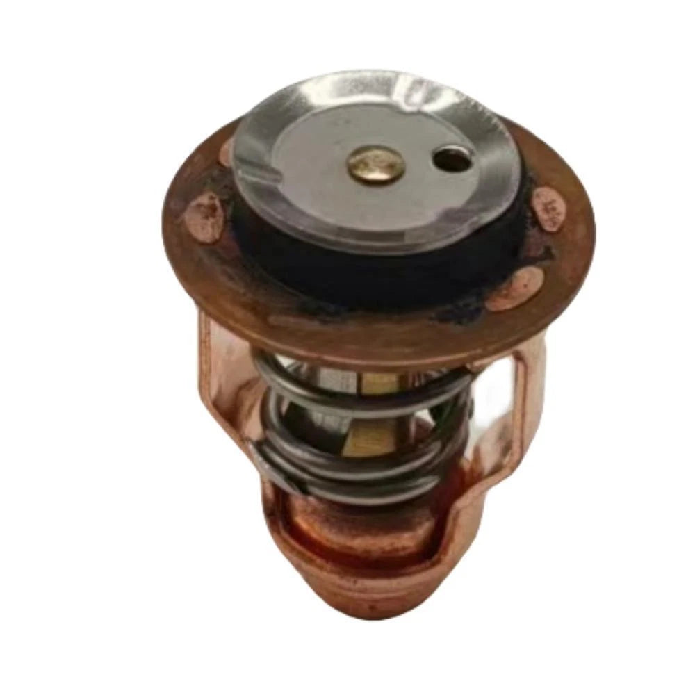 Thermostat for Yamaha Outboard F100D (6D9-12411-01, 6D9-12411-00)