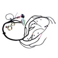 Stand Alone Wire Harness DBC for LS Truck (1999–2006)
