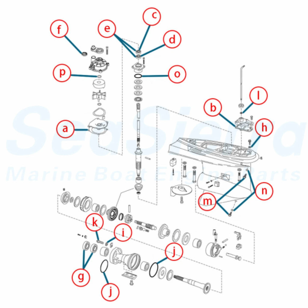 Lower Unit Seal Kit for Evinrude Johnson Outboard (5006373, 5000411, 439141)
