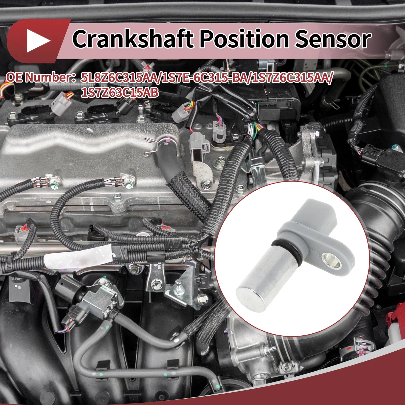 Crankshaft Position Sensor for Ford Escape 3.0 (2006–2012) OEM Replacement