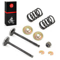 Intake Exhaust Valve & Seal Spring Kit for Yamaha Golf Cart G2-G14 (1990–2006)