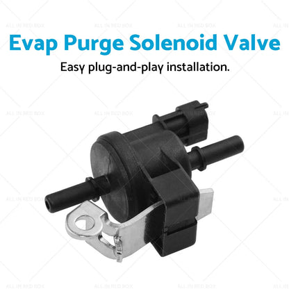 Evap Purge Solenoid Valve for Holden VE S1 Commodore SV6 V6 3.6 (2006–2013) 12611801