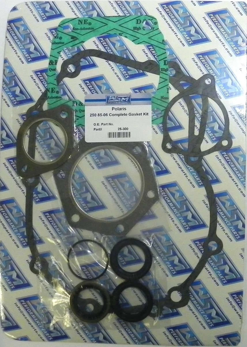 Complete Gasket Kit for Polaris 250 (1995–1999)