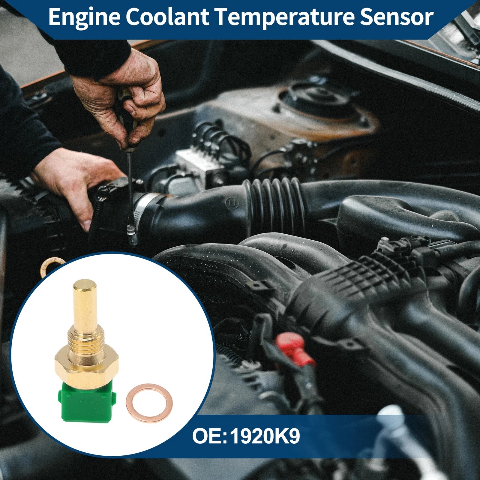 Engine Coolant Temperature Sensor for No.1920K9