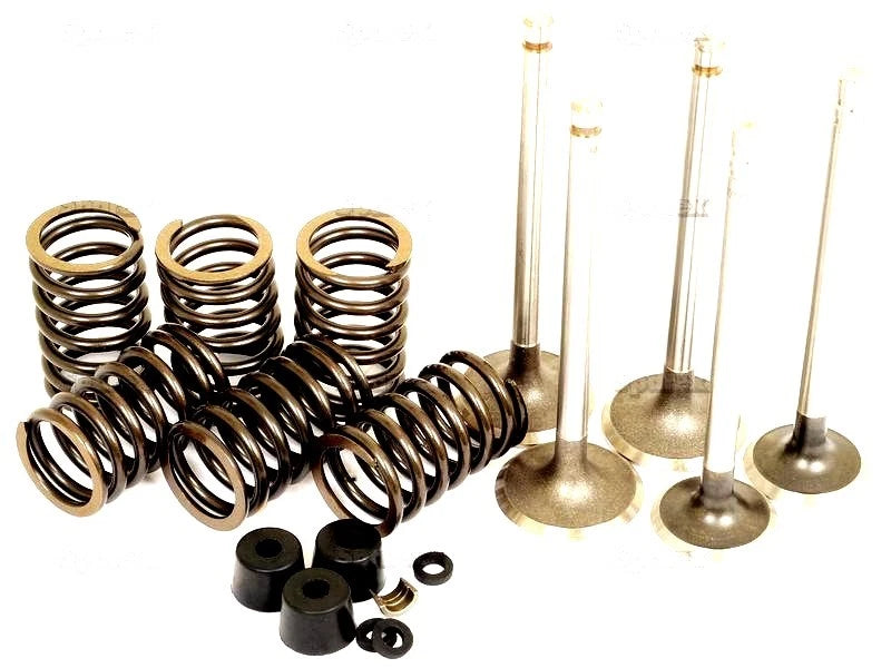 Valve Train Kit for Ford Tractors (2000–4600)