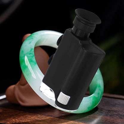 Portable Microscopic Analyzer for Capture