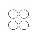 Set of 2 Piston Rings for OMC Johnson Evinrude E15RELEDS E10REDD (STD) 0435218