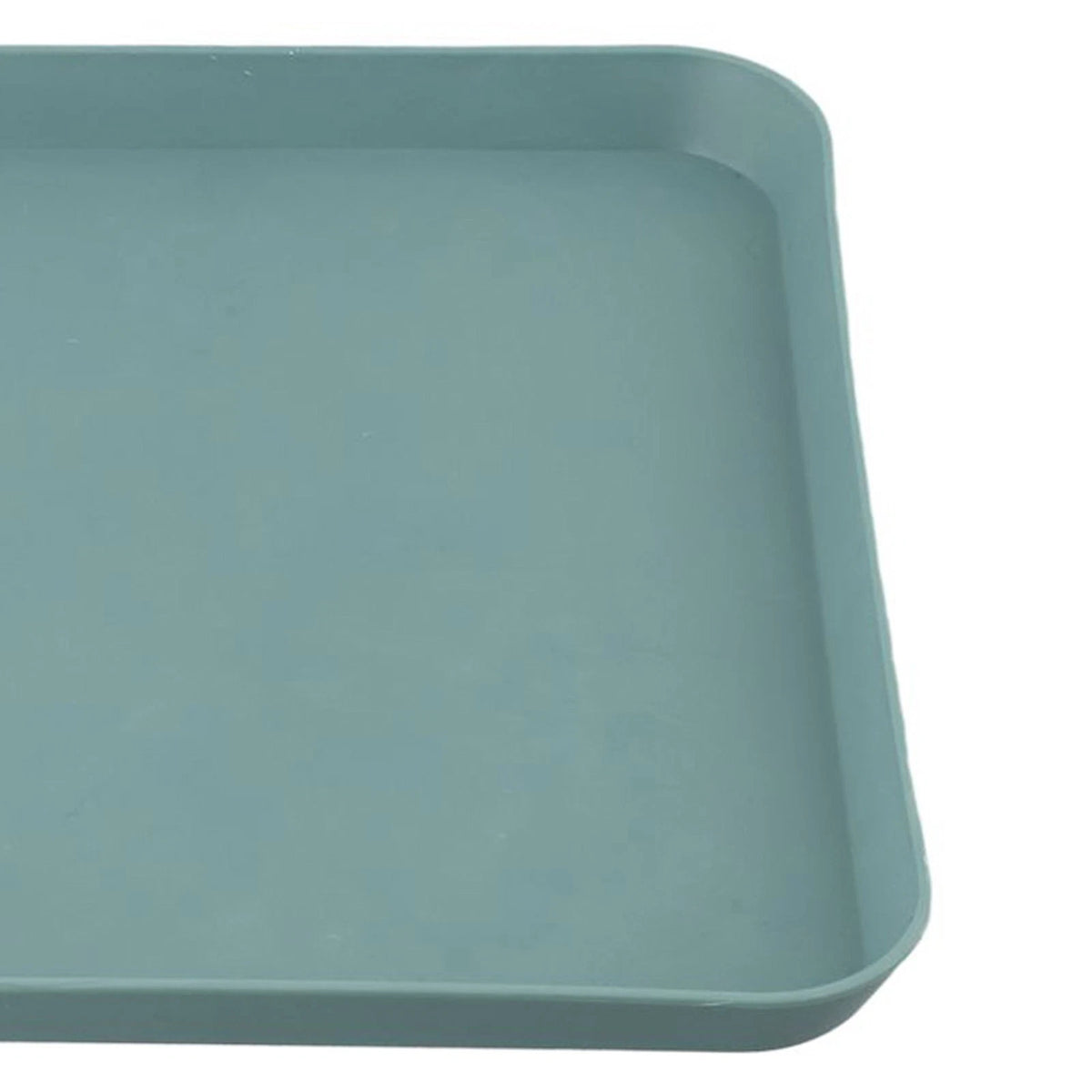 Stable Environmentally Trays Plate for Fruit Tray (Heat-Resistant)