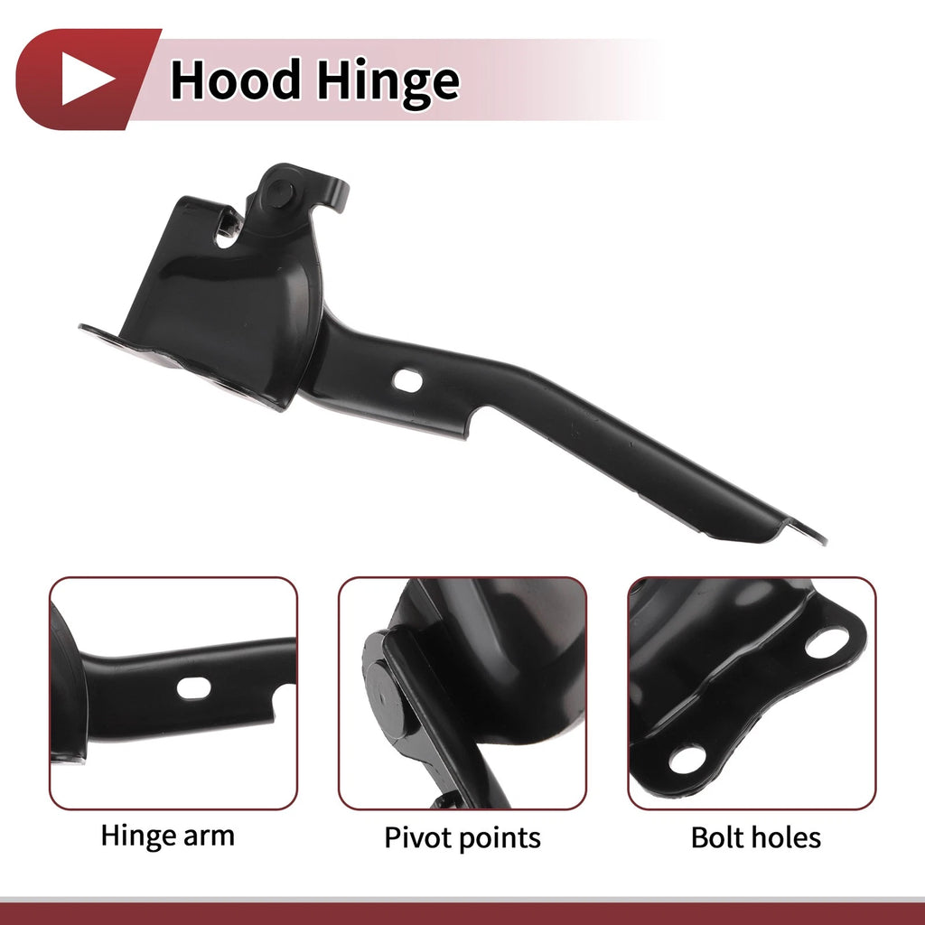 Hood Hinge for Toyota Highlander (2015) Right Side