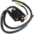 Ignition Coil Double Line for Arctic Cat Mountain Cat 900 EFI (2003–2004)