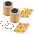 Set of 2 Oil Filters & NGK Spark Plugs for Sea Doo Spark 900 (2014–2023)