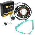 Stator and Gasket Replacement for Suzuki DR200SE DR125SE (1996–2013)