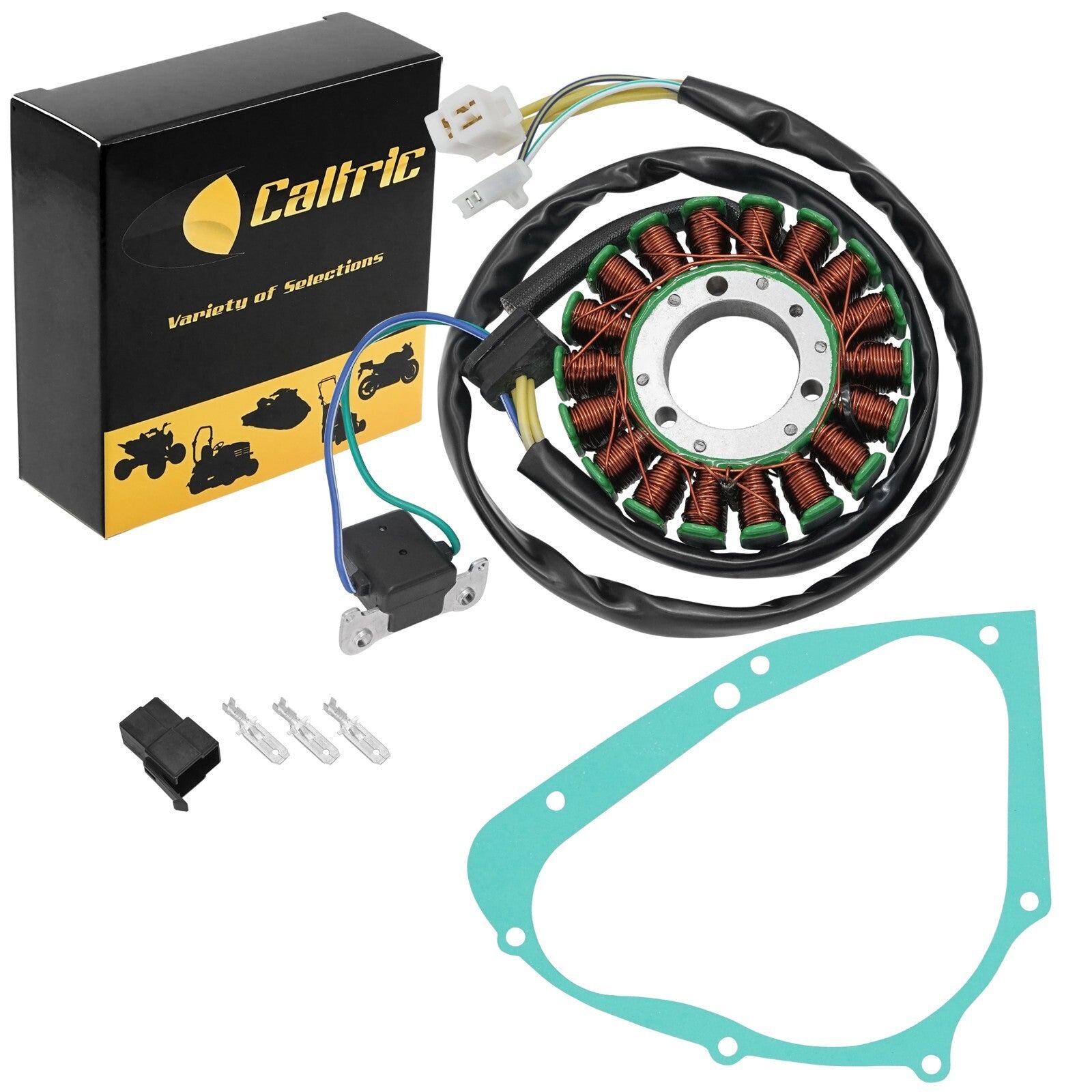 Stator and Gasket Replacement for Suzuki DR200SE DR125SE (1996–2013)