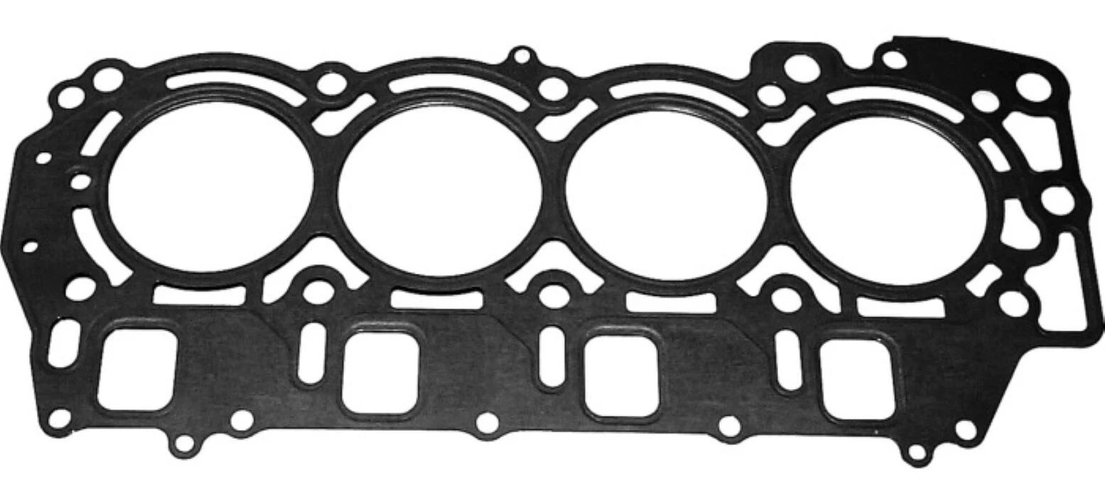 Gasket for WSM