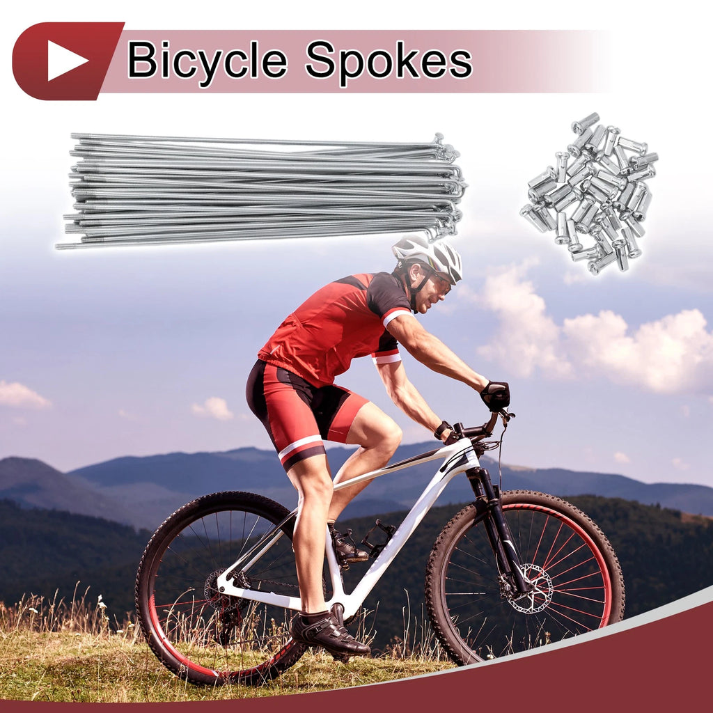 Bicycle Spokes 169mm 36 Pack for 13G Wheel (Silver Steel)
