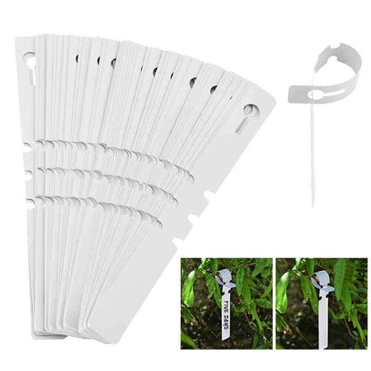 Set of 200 Waterproof Plant Labels for Vegetable Bonsai