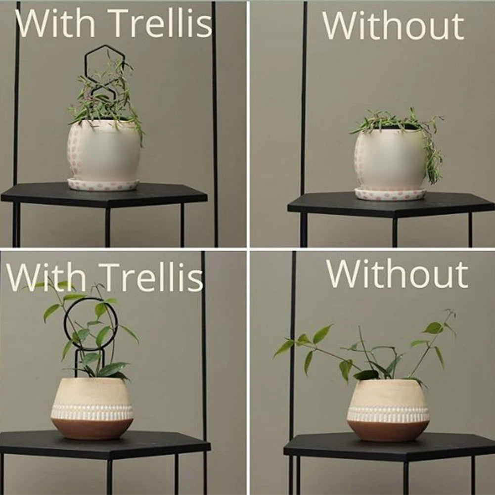 Metal Climbing Frame Plant Support Bracket for Vertical Growth