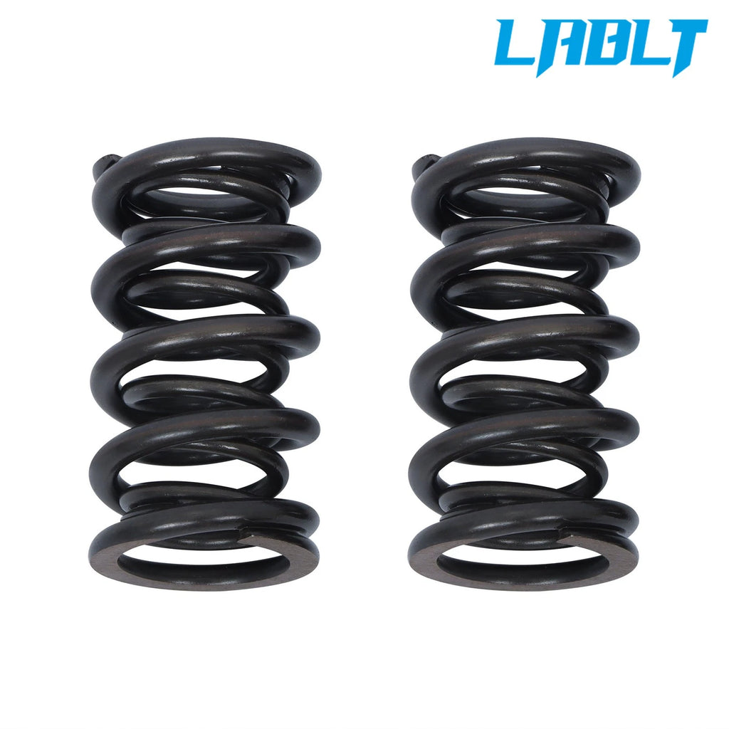 Dual Valve Spring Kit for LS 4.8 5.3 6.0 LS1 LS2 LS3 (660")