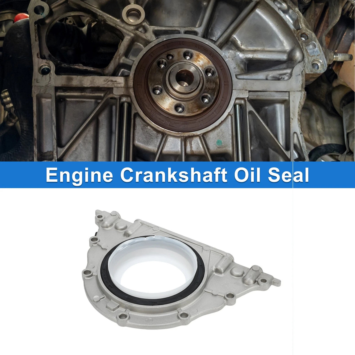 Rear Crankshaft Oil Seal with Flange for BMW X5 550i (2009–2013)
