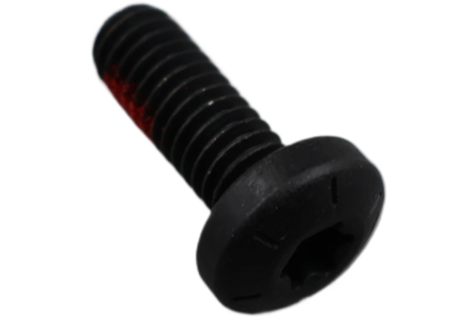 OEM Screw Panhead Torx for Harley-Davidson (2232)