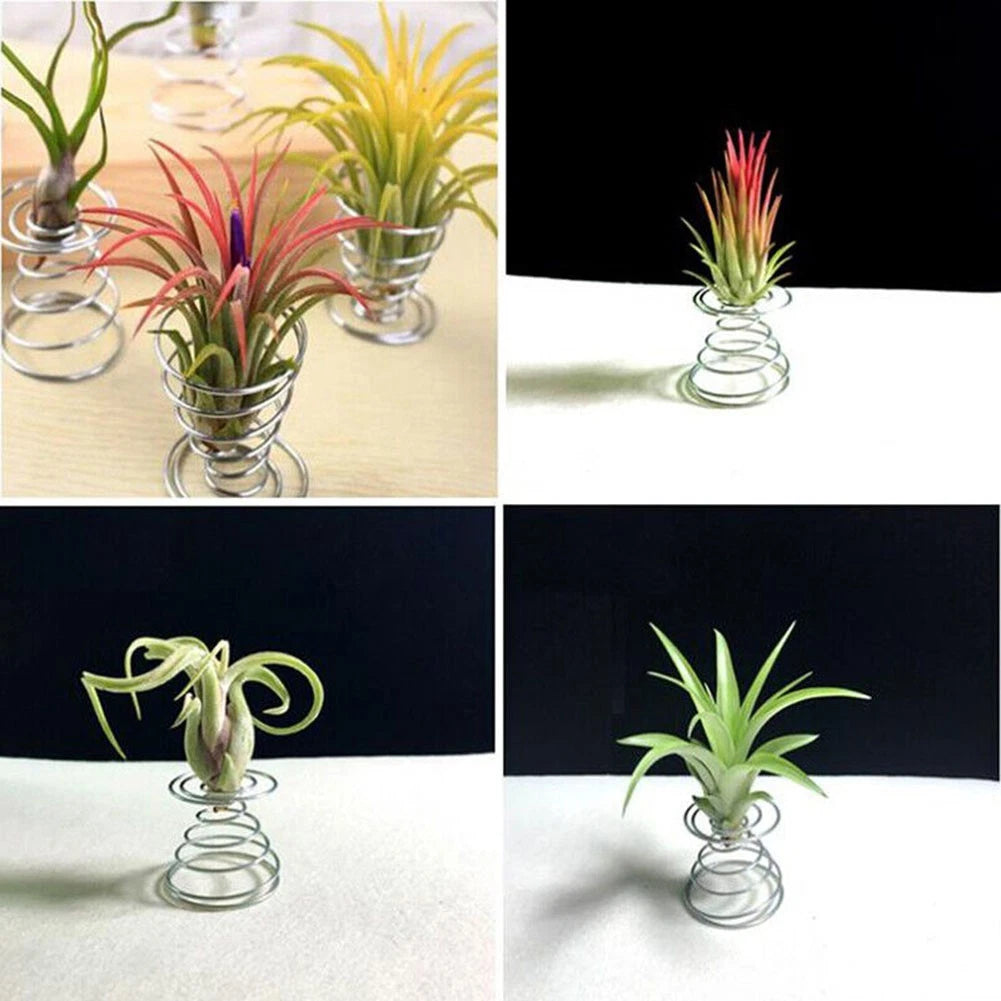 3pcs Air Plant Stand for Tabletop Use