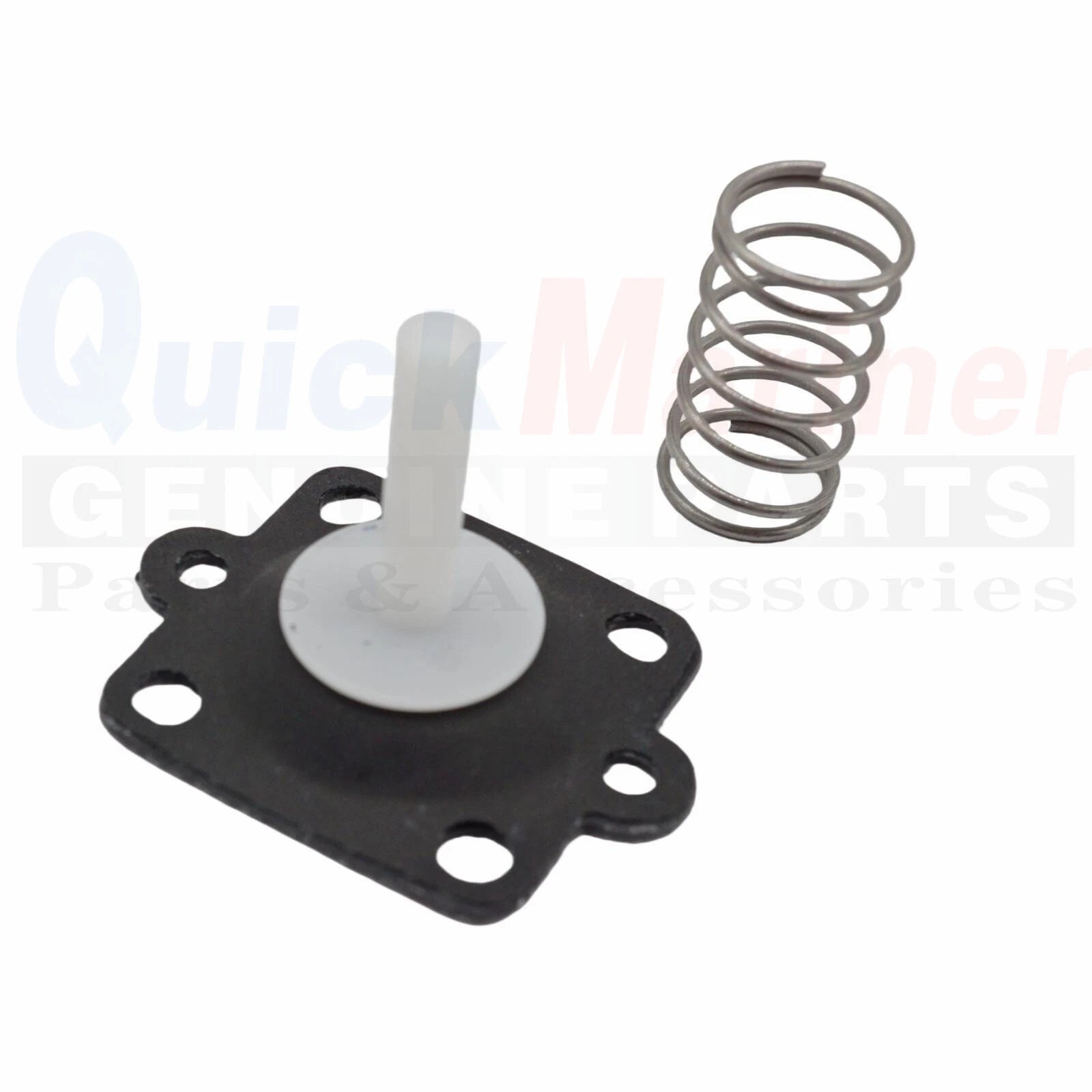 Repair Kit Accelerator Fuel Pump for Mercury 80 100 115 125 HP (1988–2004) 811287