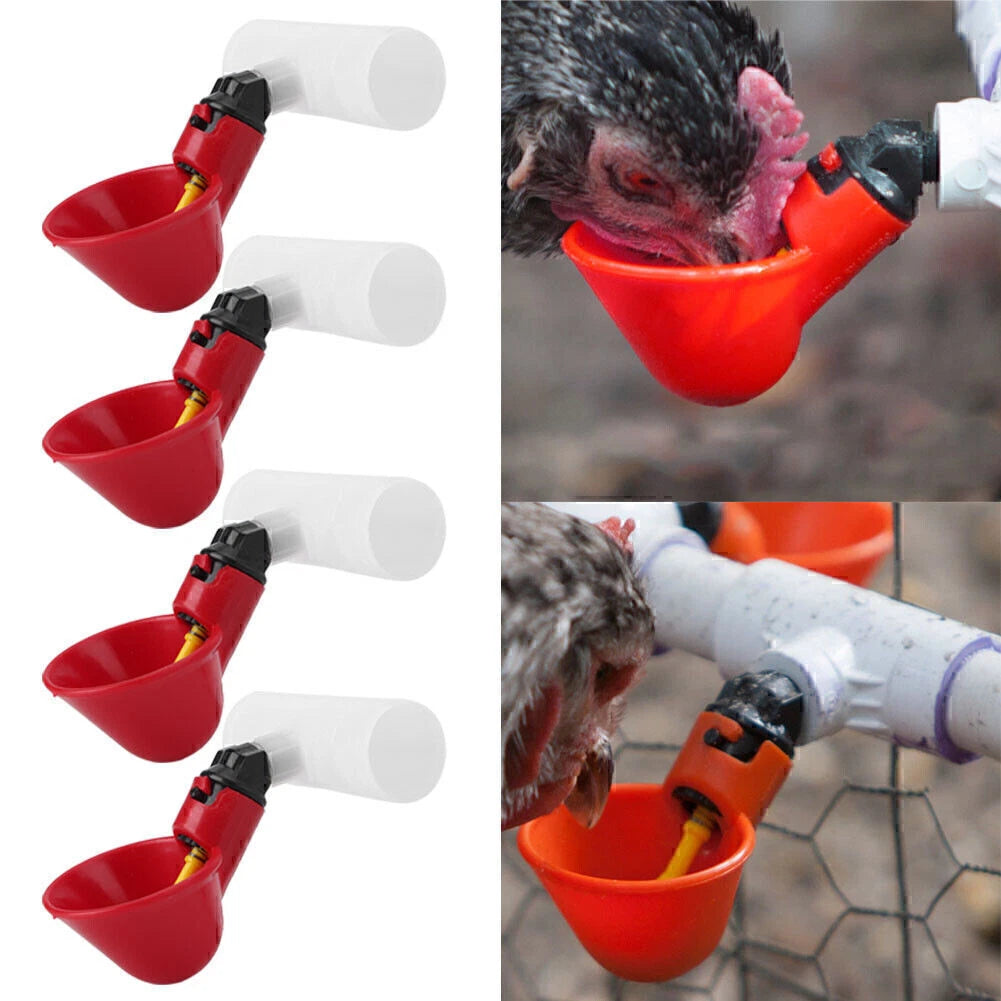 4 Pack Poultry Water Drinking Cups-Chicken Hen Automatic Drinkers & PVC Fittings