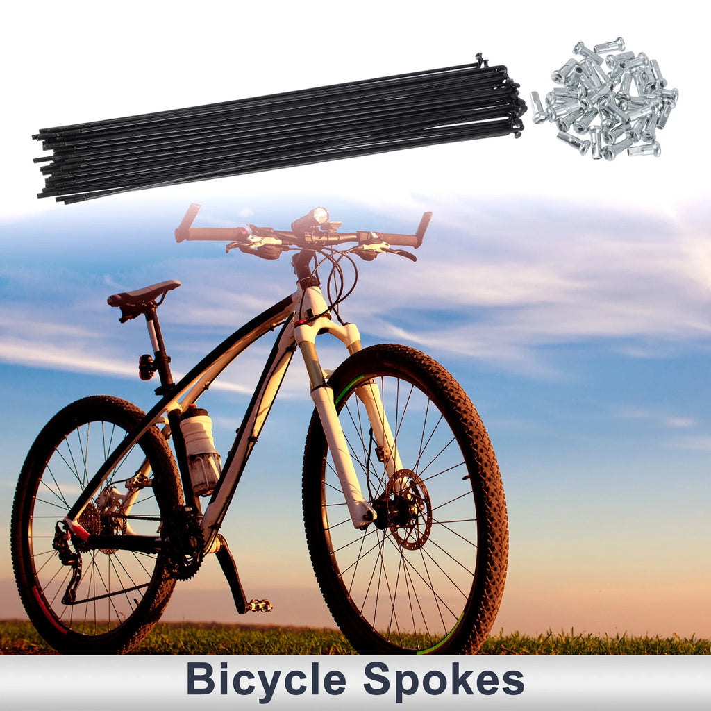 Bicycle Spokes Nipple Set 45 Steel 243mm for Universal (2000–2030)