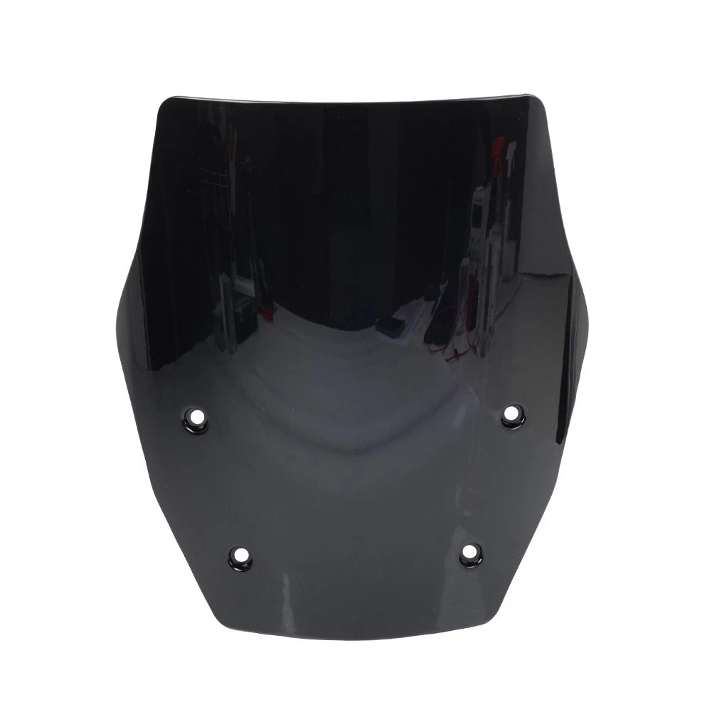 Windshield Wind Deflector for BMW R1300GS (2024)