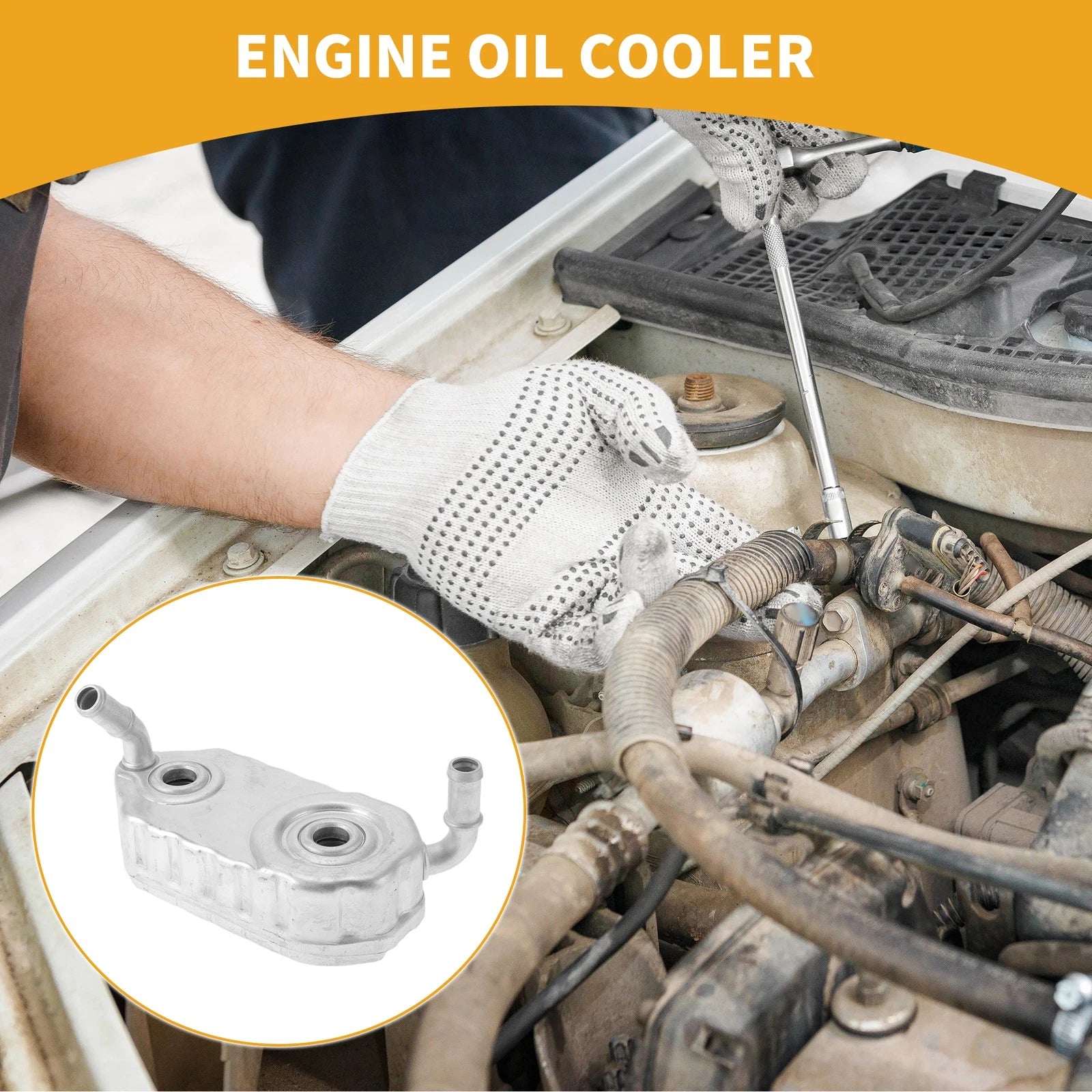 Engine Oil Cooler for Audi A3 (1999–2003) OEM Replacement