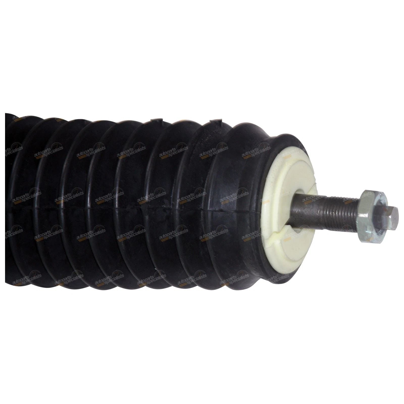 Front Mounts + Bearings + Strut Shock Absorber Set for Commodore (1993–2004)