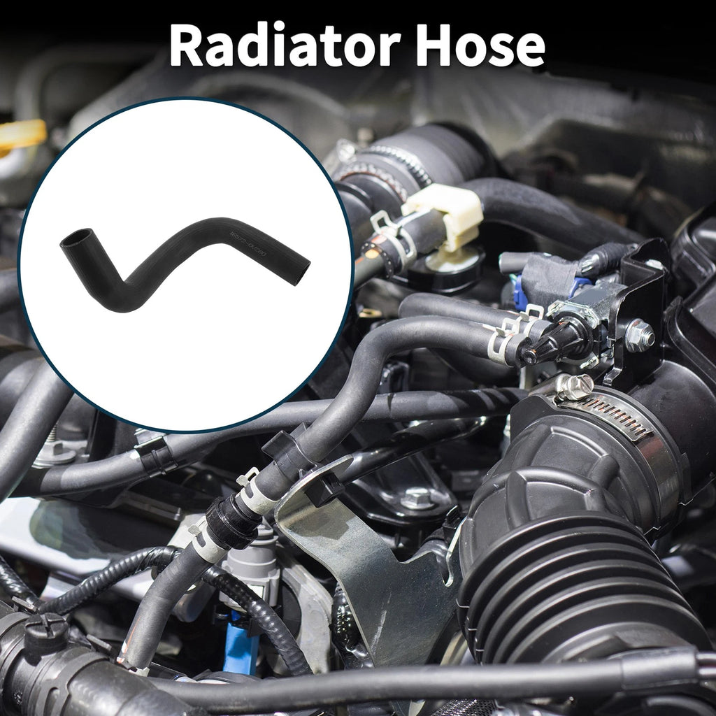 Radiator Hose Lower Replacement for Toyota Camry 2018–2018