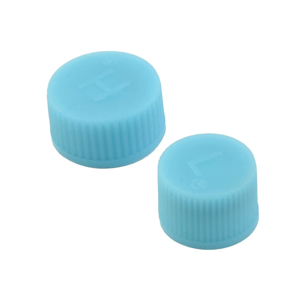 2X AC A/C System Valve Cap for