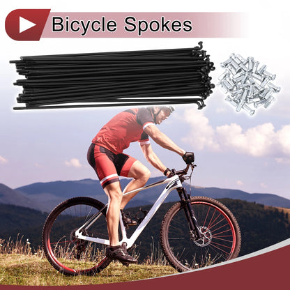 Set 12G Bike Wheel Spokes 173mm Steel Black for Bicycle Wheel (Universal)