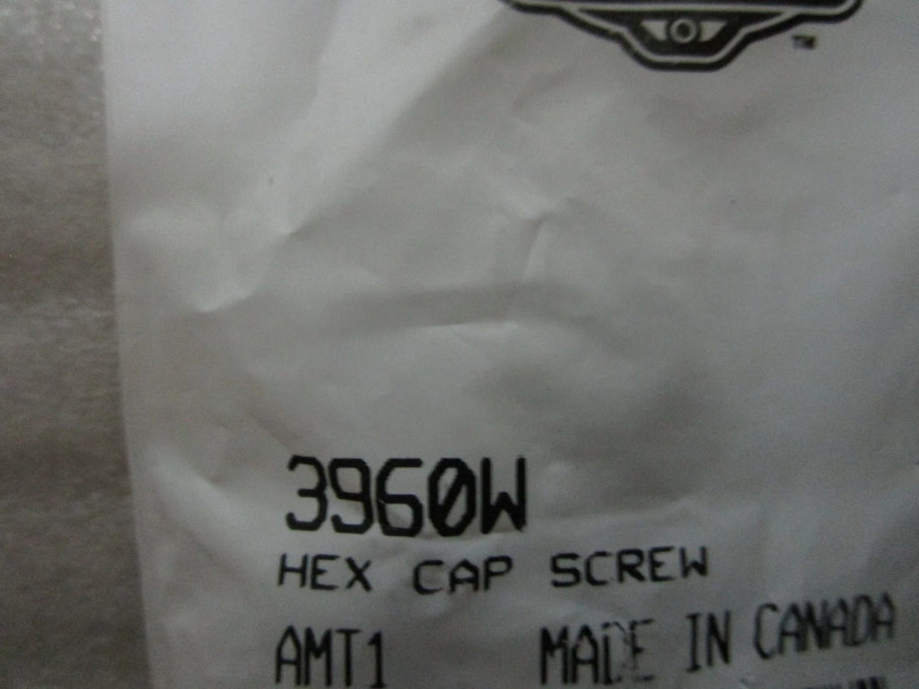 Hex Cap Screw for Harley-Davidson (3960W)
