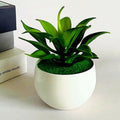 Artificial Potted Succulent Plant for Home Decor