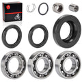 Rear Differential Bearing & Seal for Honda Foreman Rubicon 500 TRX500 (2001–2004)