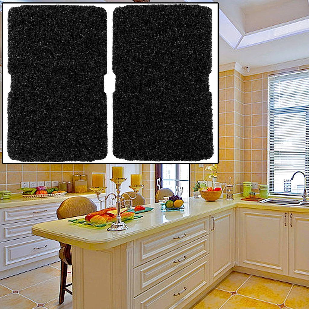 Sponge Filter for Dryer (24015511mm, 2964840100)