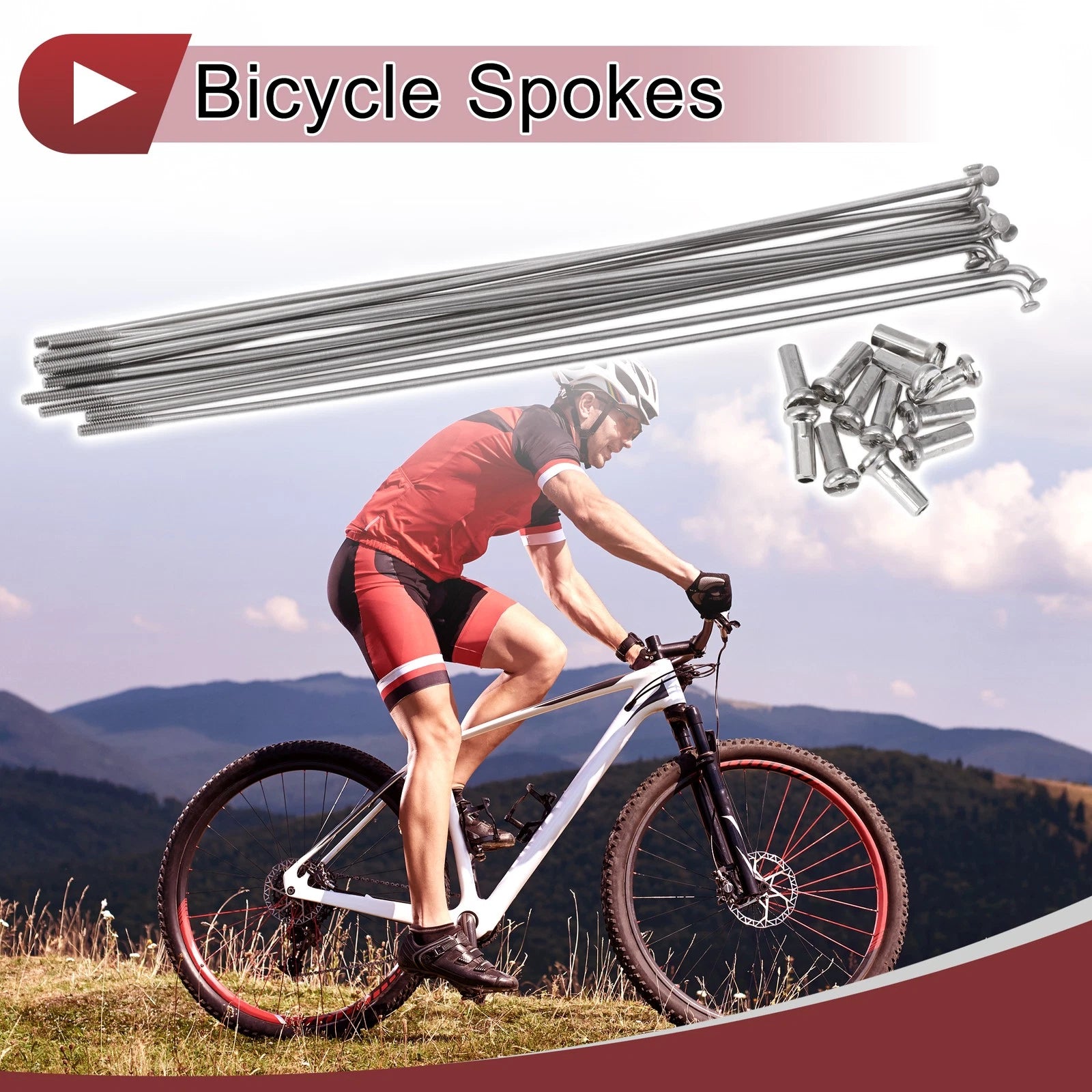 Bicycle Spokes 181mm Replacement Set for 14G Wheel (304 Stainless) (Qty 12)