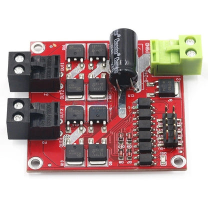 Dual Motor Drive Module for Electric Vehicles