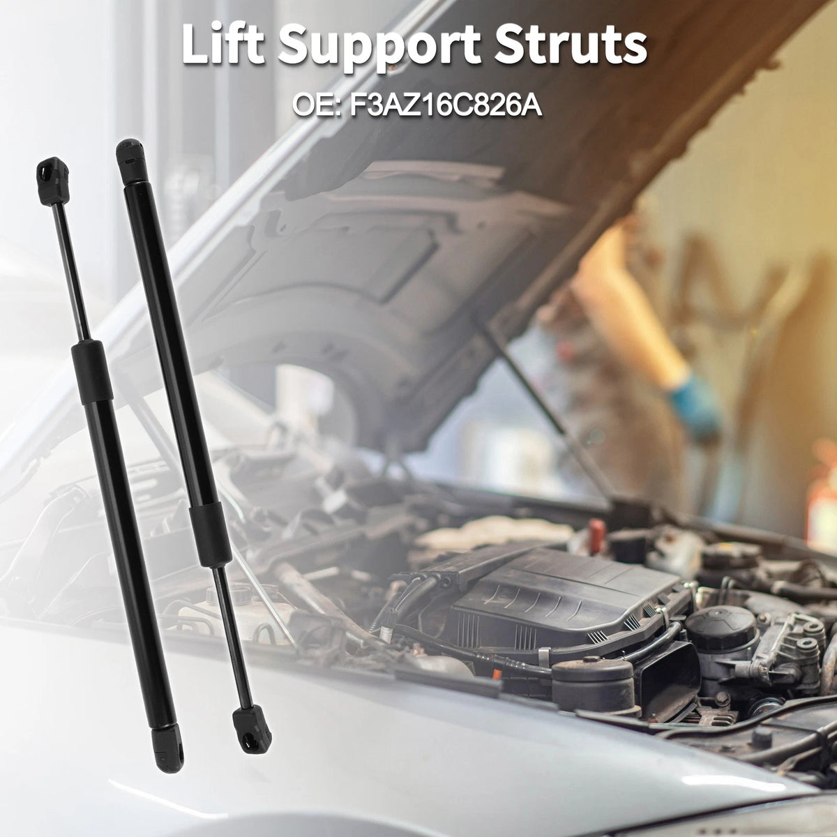 Front Hood Lift Supports Struts for Ford Crown Victoria (1998–2011)