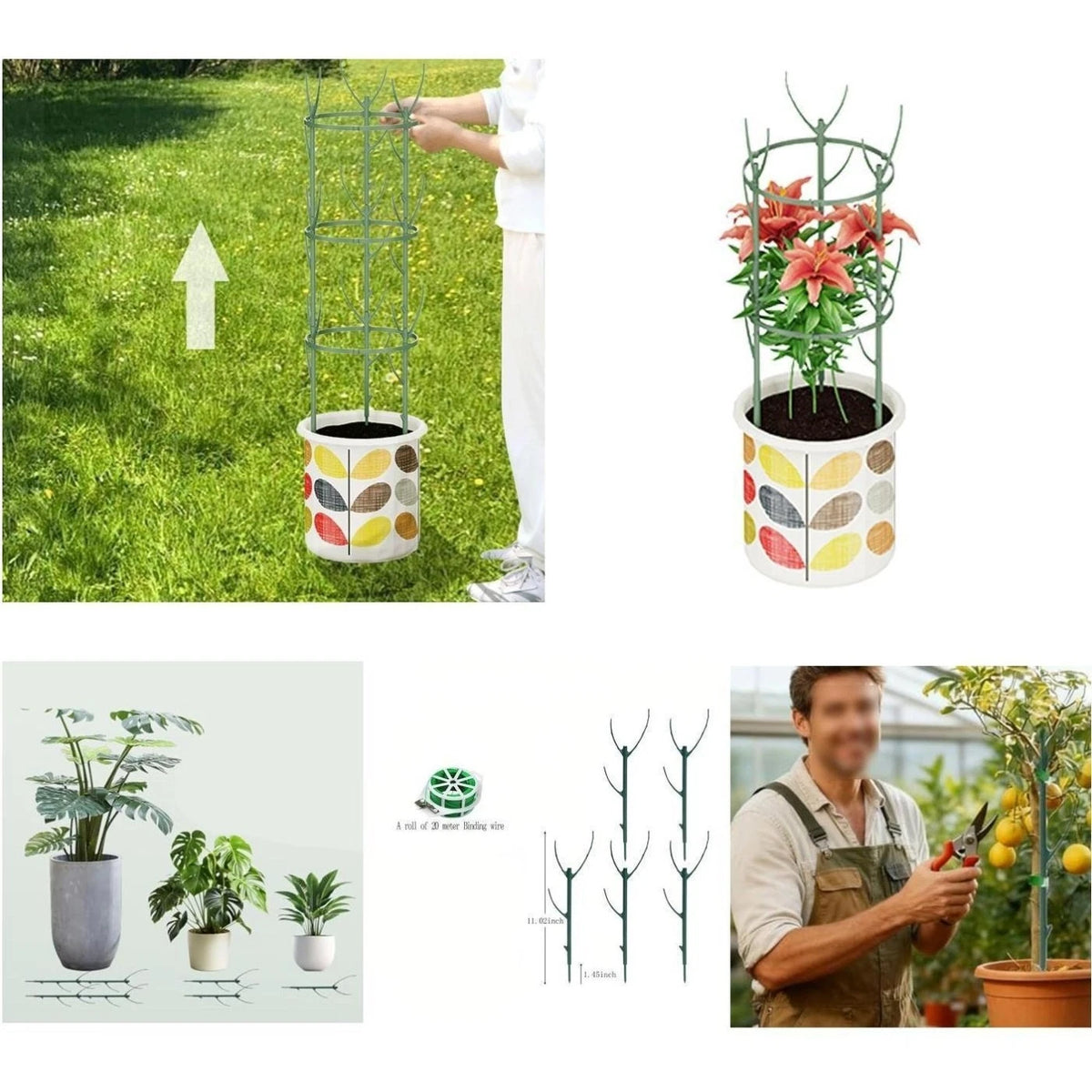 Adjustable Height Climbing Plant Support for Monstera